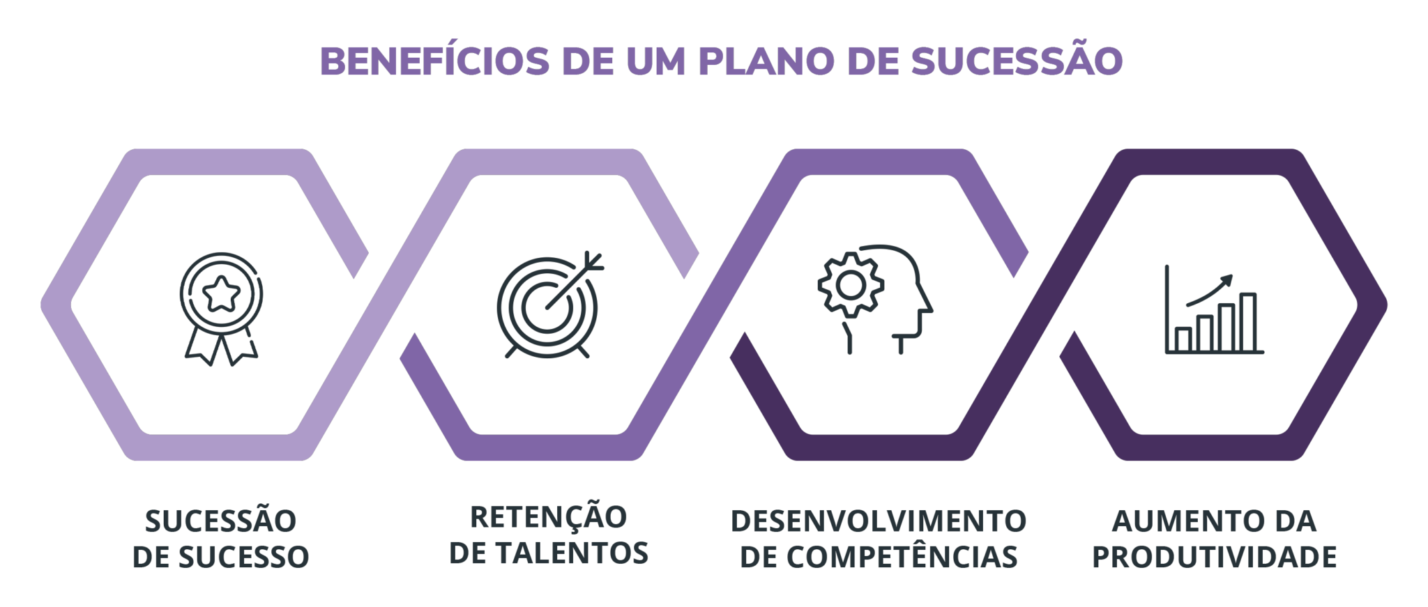 Plano De Sucessao Entenda Qual Sua Importancia No Negocio Blog Voitto