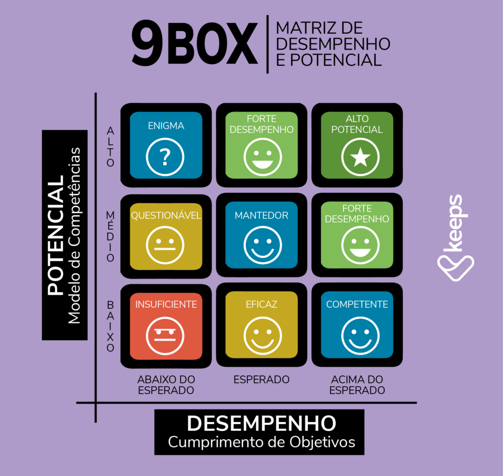 Os 9 quadrantes da matriz Nine Box