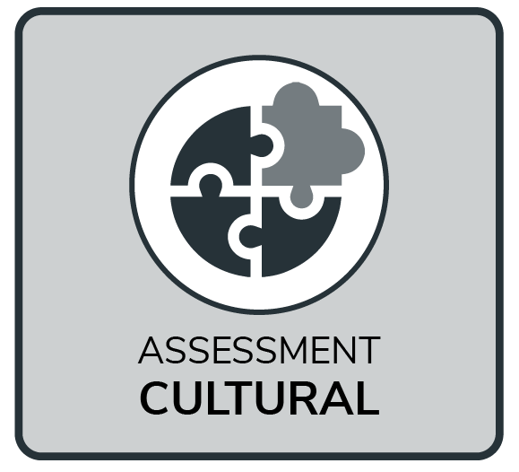 Quais são os tipos de Assessment?
Assessment Cultural
