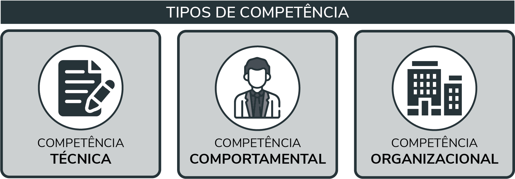 Competências E Habilidades: O Que São E Quais As Diferenças